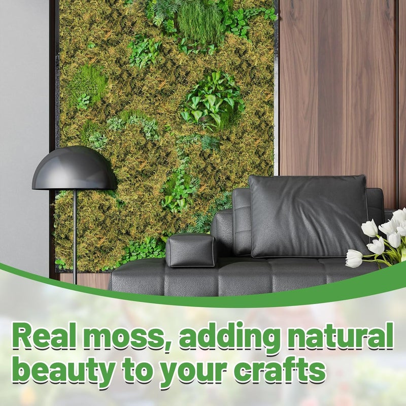 Alphatool 70oz Jumbo Pack Natural Green Moss for Crafts - Bulk Moss for Plants Indoor, Artificial Fairy Gardens, Mosswall, Filling Fake Plants, Floral Design, Home Decoration, Professional DIY Use - Image 3